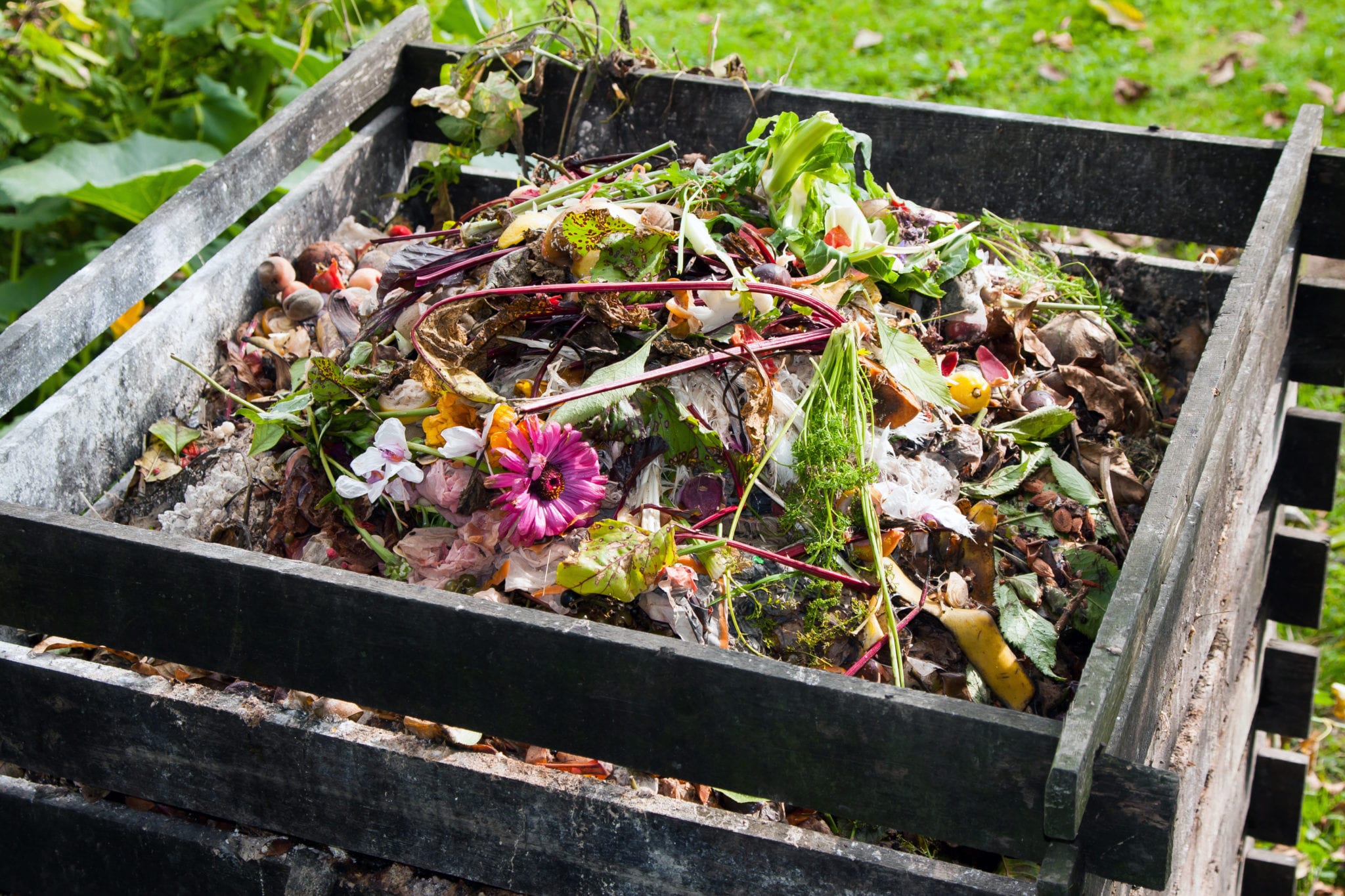 Composting 101: Tips to Get Your Compost Pile Started – CapeSave ...